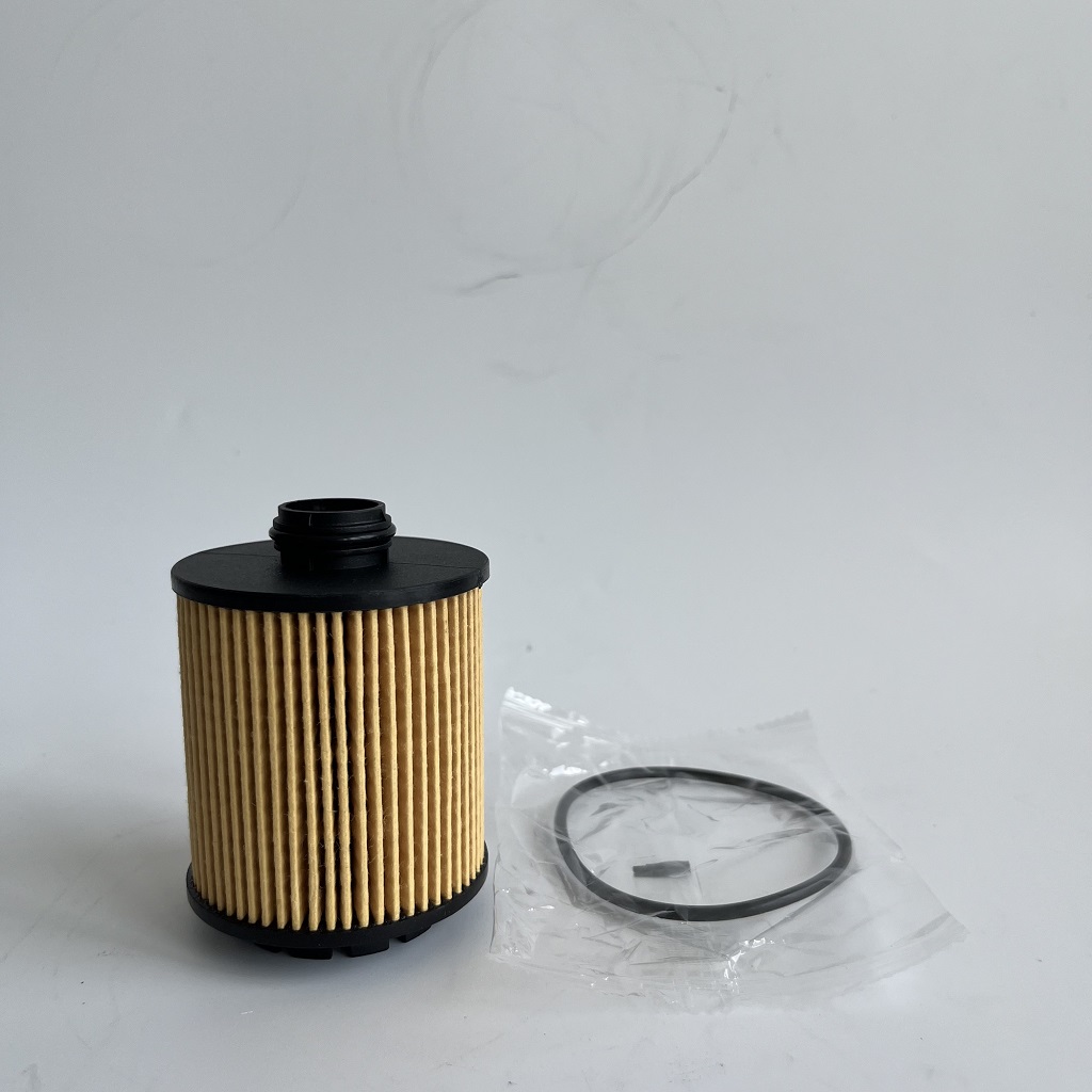 HU7043Z 1612565980 OLIEFILTER VOOR PETGEOT